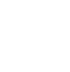 Insatgram icon.